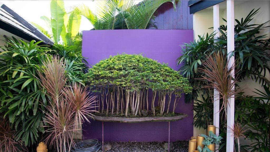 Bonsai Villas Seminyak  Room photo